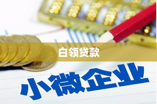 泸定白领贷款