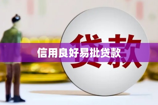 泸定信用良好易批贷款