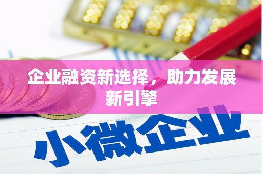 泸定企业融资新选择，助力发展新引擎