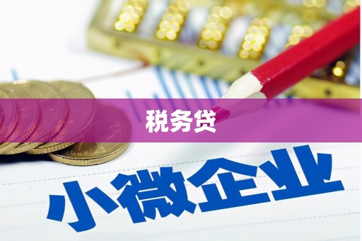泸定税务贷