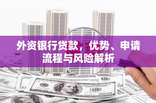 泸定外资银行贷款，优势、申请流程与风险解析
