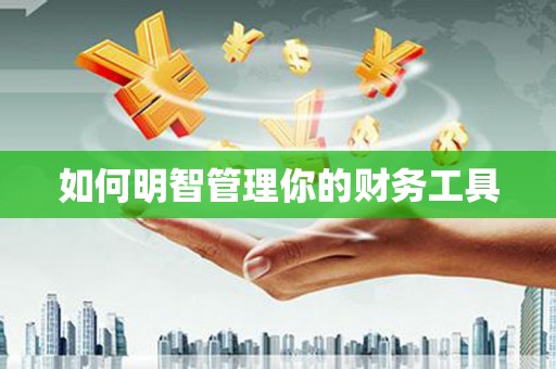 泸定如何明智管理你的财务工具