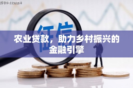 泸定农业贷款，助力乡村振兴的金融引擎