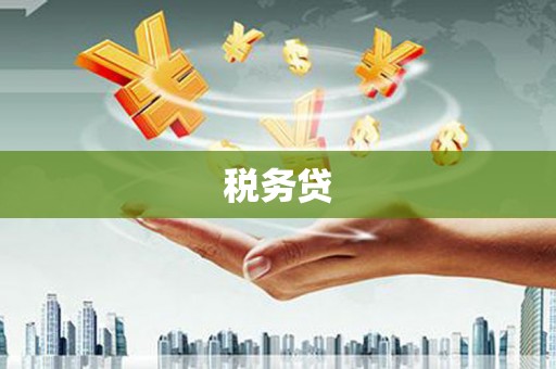 泸定税务贷