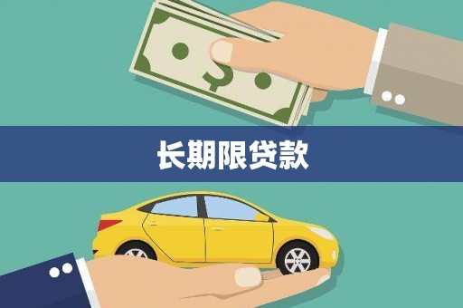 泸定长期限贷款