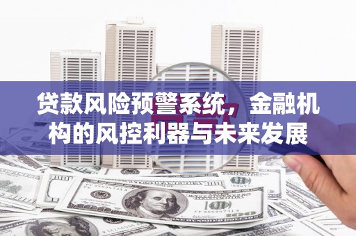 泸定贷款风险预警系统，金融机构的风控利器与未来发展