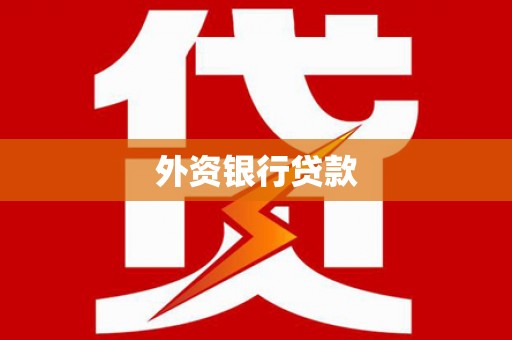 泸定外资银行贷款