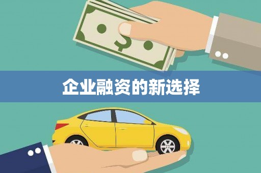 泸定企业融资的新选择