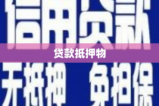 泸定贷款抵押物