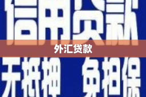 泸定外汇贷款