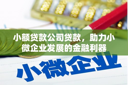 泸定小额贷款公司贷款，助力小微企业发展的金融利器