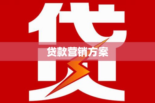 泸定贷款营销方案