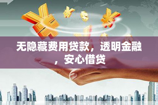 泸定无隐藏费用贷款，透明金融，安心借贷