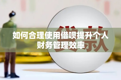 泸定如何合理使用借呗提升个人财务管理效率