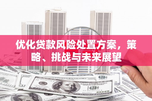 泸定优化贷款风险处置方案，策略、挑战与未来展望