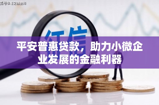 泸定平安普惠贷款，助力小微企业发展的金融利器