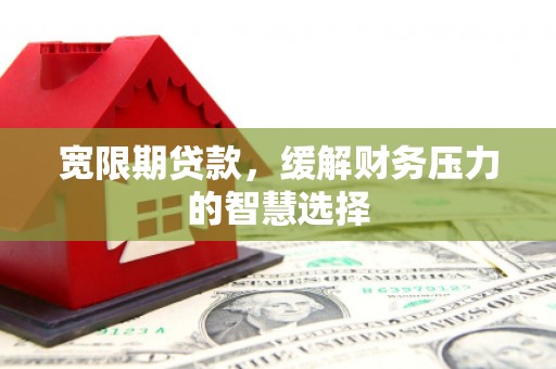 泸定宽限期贷款，缓解财务压力的智慧选择