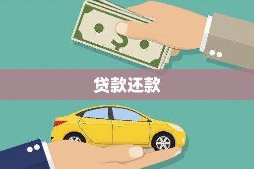 泸定贷款还款