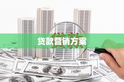 泸定贷款营销方案