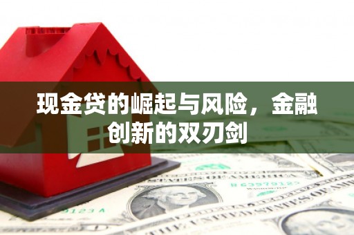 泸定现金贷的崛起与风险，金融创新的双刃剑