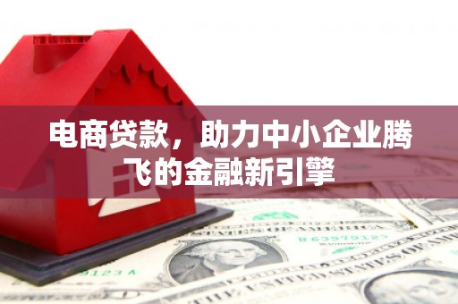 泸定电商贷款，助力中小企业腾飞的金融新引擎