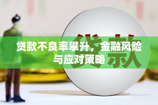 泸定贷款不良率攀升，金融风险与应对策略