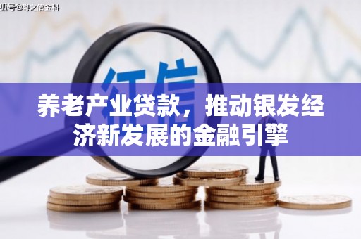 泸定养老产业贷款，推动银发经济新发展的金融引擎