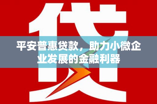 泸定平安普惠贷款，助力小微企业发展的金融利器