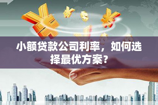 泸定小额贷款公司利率，如何选择最优方案？
