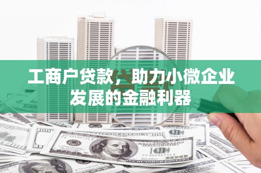 泸定工商户贷款，助力小微企业发展的金融利器