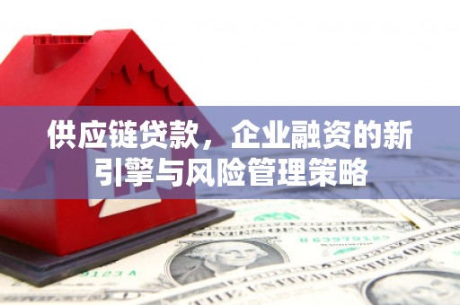 泸定供应链贷款，企业融资的新引擎与风险管理策略