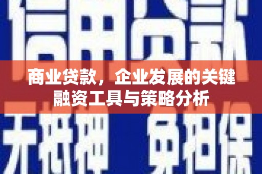 泸定商业贷款，企业发展的关键融资工具与策略分析
