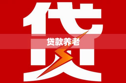 泸定贷款养老