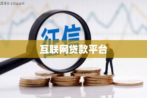 泸定互联网贷款平台
