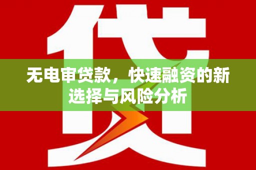 泸定无电审贷款，快速融资的新选择与风险分析