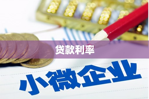 泸定贷款利率