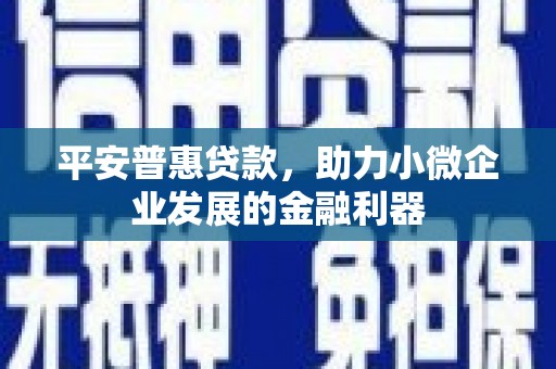 泸定平安普惠贷款，助力小微企业发展的金融利器
