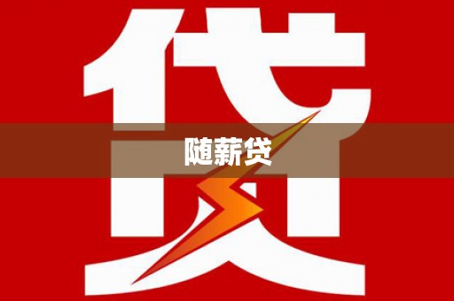 泸定随薪贷