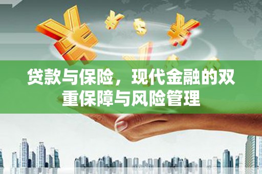 泸定贷款与保险，现代金融的双重保障与风险管理