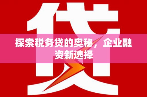 泸定探索税务贷的奥秘，企业融资新选择