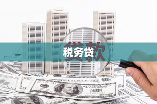 泸定税务贷