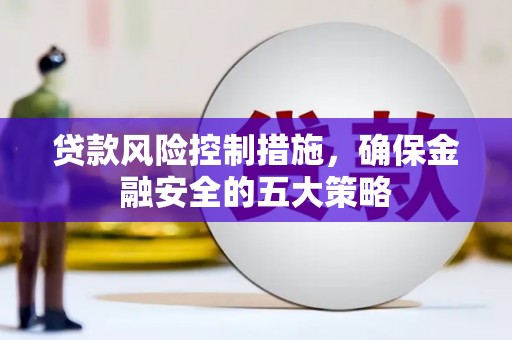 泸定贷款风险控制措施，确保金融安全的五大策略