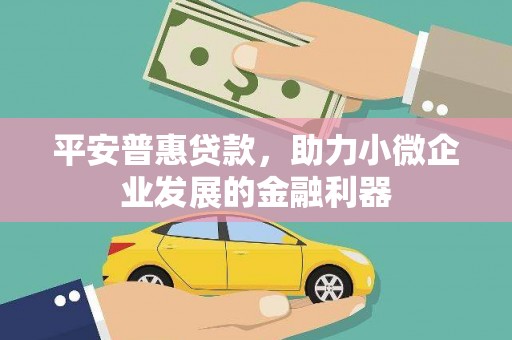 泸定平安普惠贷款，助力小微企业发展的金融利器