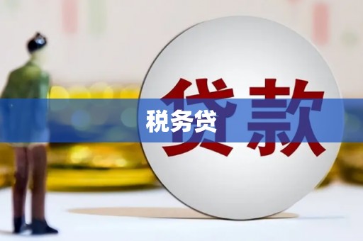 泸定税务贷
