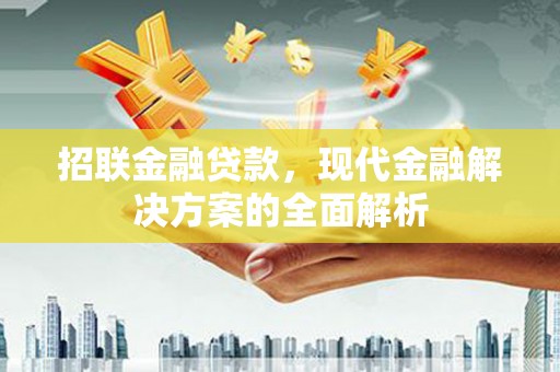 泸定招联金融贷款，现代金融解决方案的全面解析