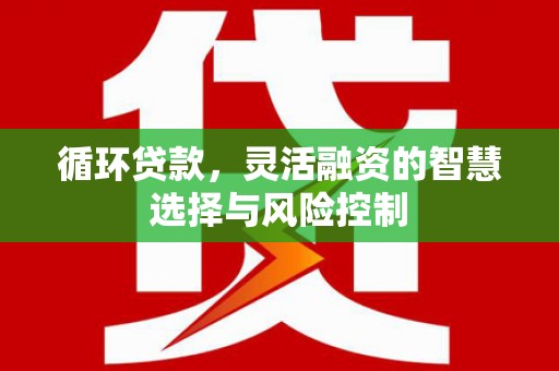 泸定循环贷款，灵活融资的智慧选择与风险控制