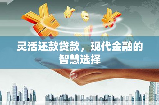 泸定灵活还款贷款，现代金融的智慧选择