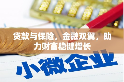 泸定贷款与保险，金融双翼，助力财富稳健增长