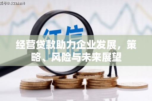 泸定经营贷款助力企业发展，策略、风险与未来展望
