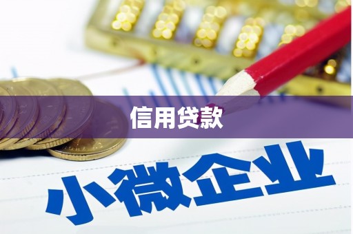 泸定信用贷款